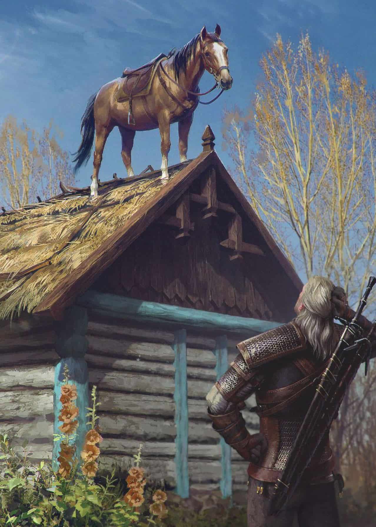 The Witcher - Roach on the Roof Displate